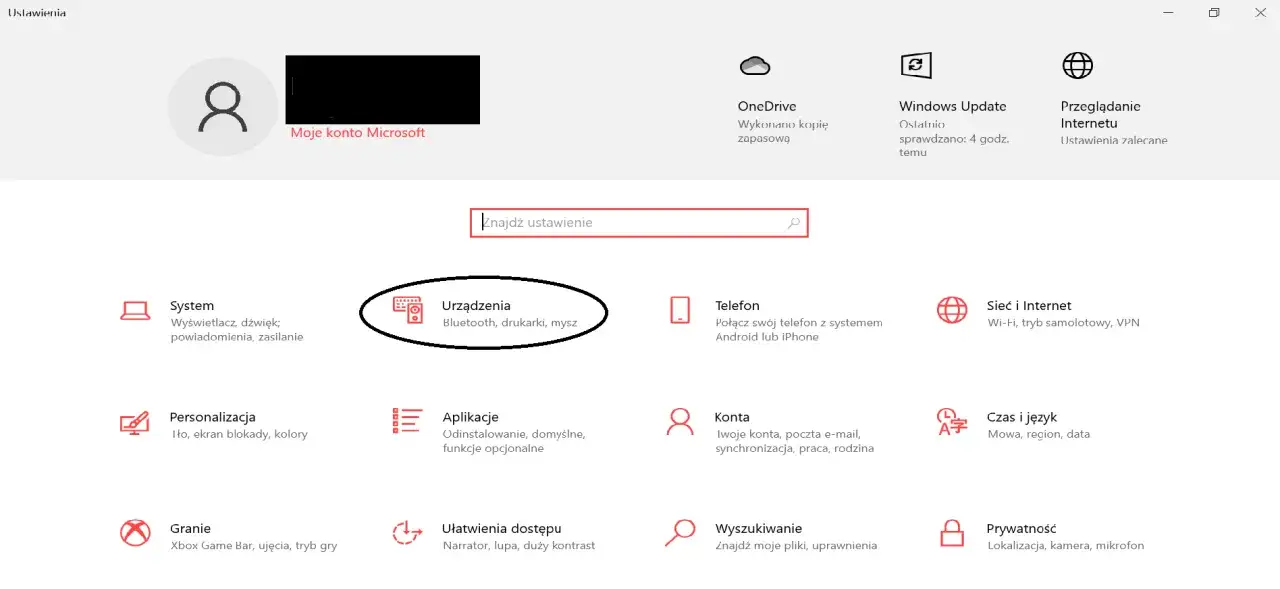 Ustawienia Windows. Aby dowiedzieć się, jak zmienić kursor myszki, kliknij 